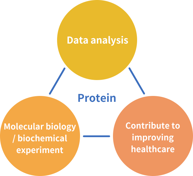Contribution to medical treatment by comprehensive analysis of proteins