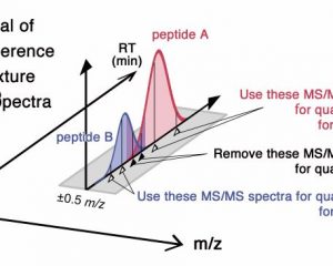 Iwasaki Group’s first paper